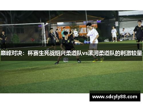 巅峰对决：杯赛生死战绍兴柔道队vs漯河柔道队的刺激较量