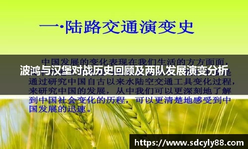 波鸿与汉堡对战历史回顾及两队发展演变分析